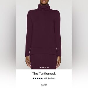 Bleu Salt Burgundy turtleneck Top 3